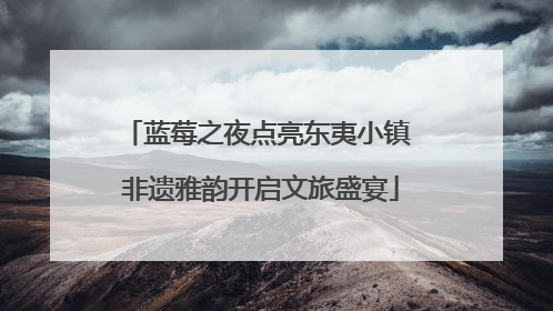 蓝莓之夜点亮东夷小镇 非遗雅韵开启文旅盛宴
